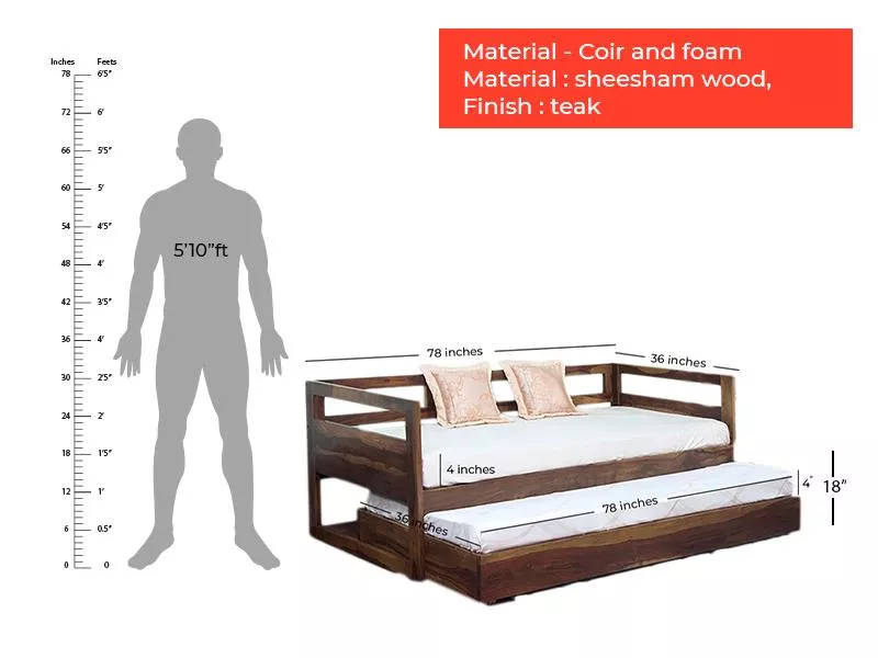 Hugo Sofa Cum Bed with Sliding Underbed